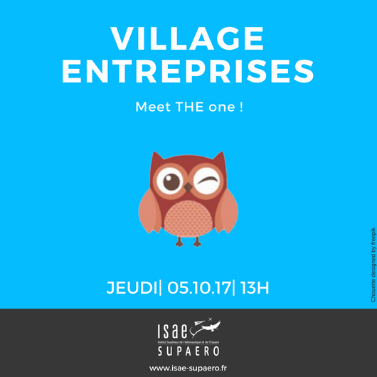 Village Entreprises 2017